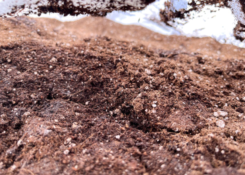 Paonia Soil